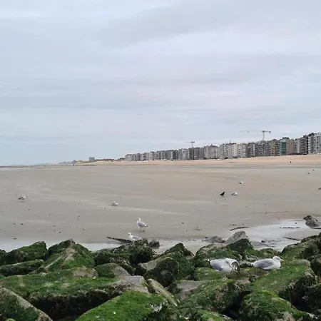 Apartment Les Petrels 601 With Sea View In