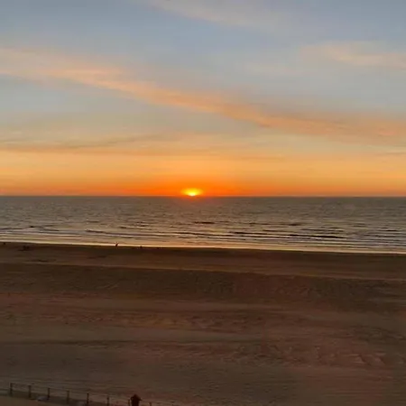 Les Petrels 601 With Sea View In Apartment Koksijde