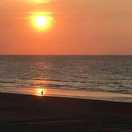 Les Petrels 601 With Sea View In * Koksijde