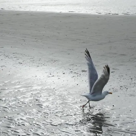 In With Stunning Sea View * コクセッド